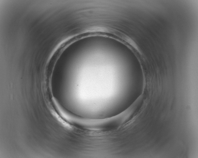 X0000083001116200702011448