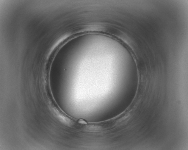 X0000083001119200702011448