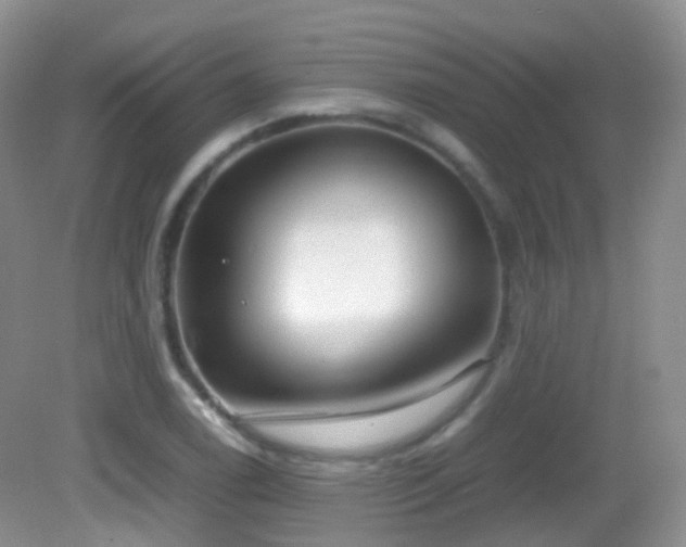 X0000083001122200702011448
