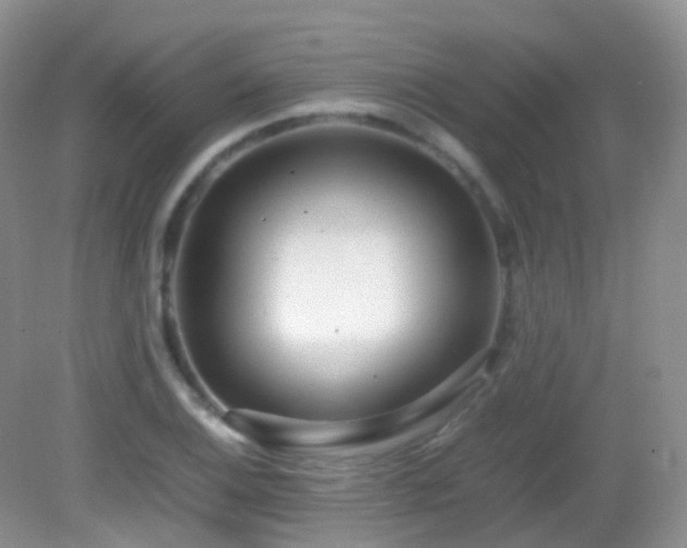X0000083001124200702011448