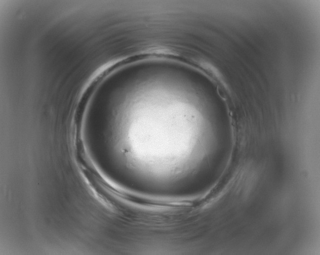 X0000083001125200702011448