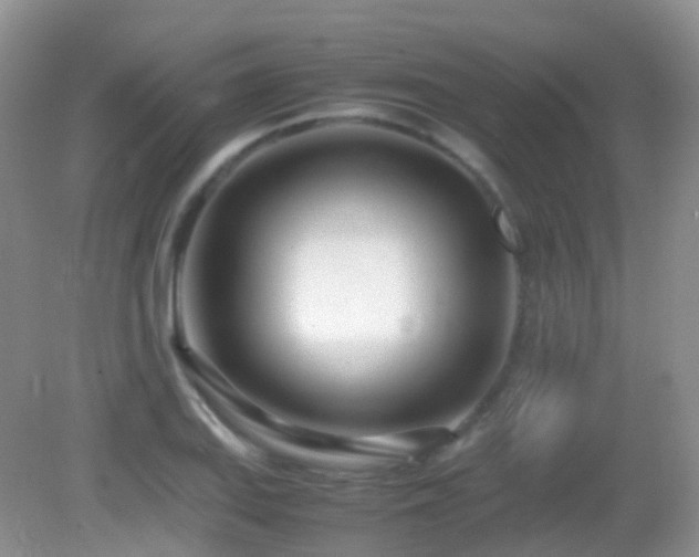X0000083001127200702011448