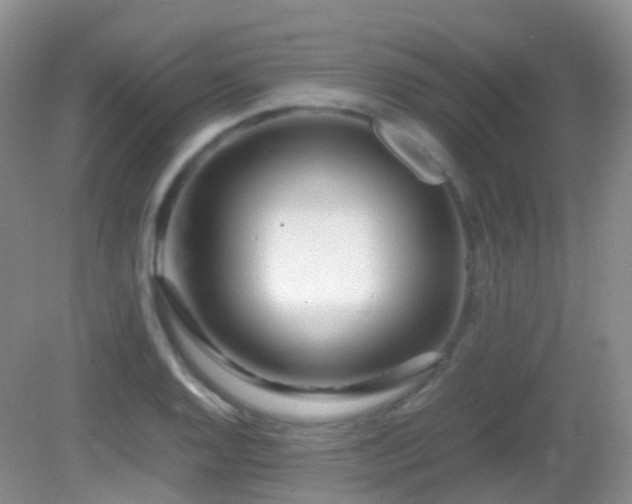 X0000083001128200702011448