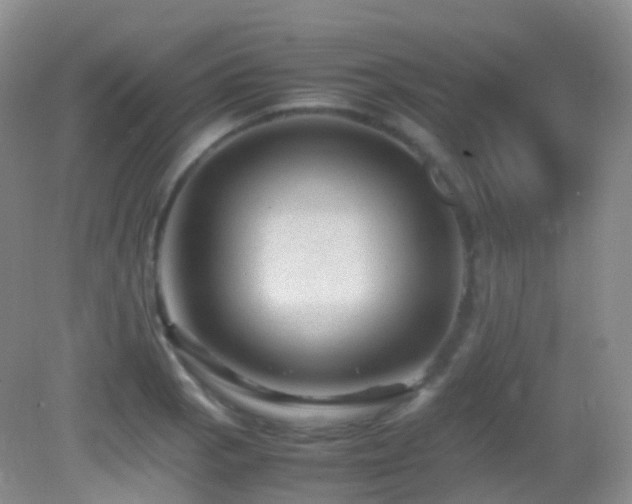 X0000083001129200702011448