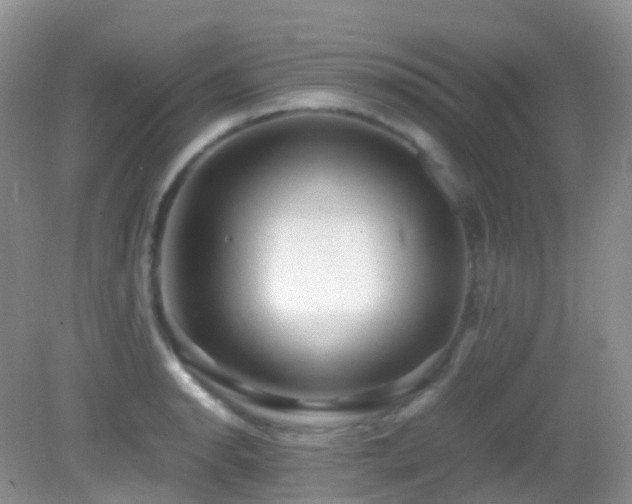 X0000083001134200702011448
