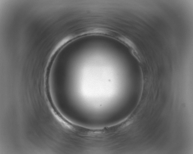 X0000083001135200702011448