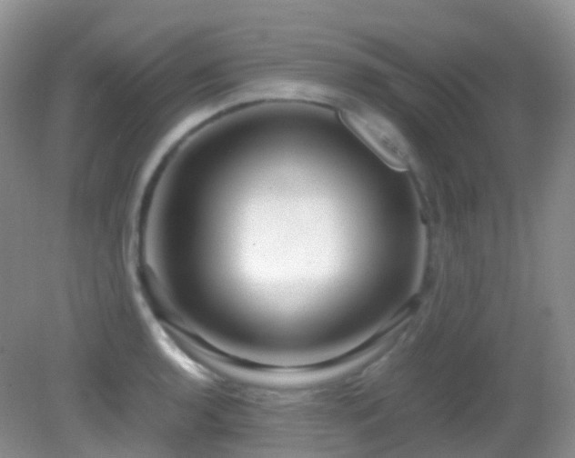 X0000083001136200702011448