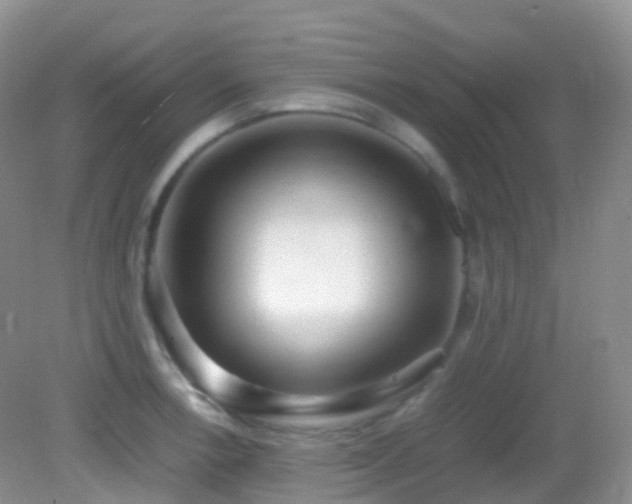 X0000083001138200702011448