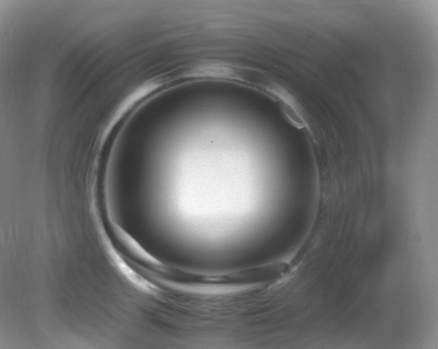 X0000083001139200702011448