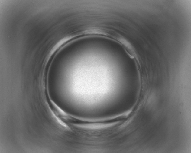 X0000083001141200702011448