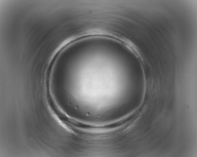 X0000083001142200702011448