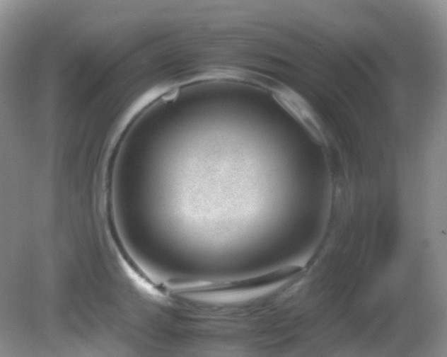 X0000083001143200702011448