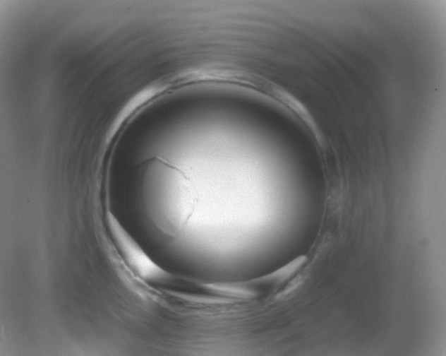 X0000083001146200702011448
