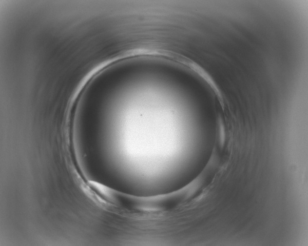 X0000083001148200702011448