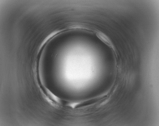 X0000083001149200702011448