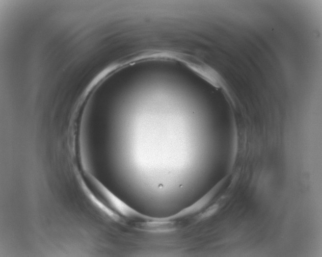 X0000083001151200702011448