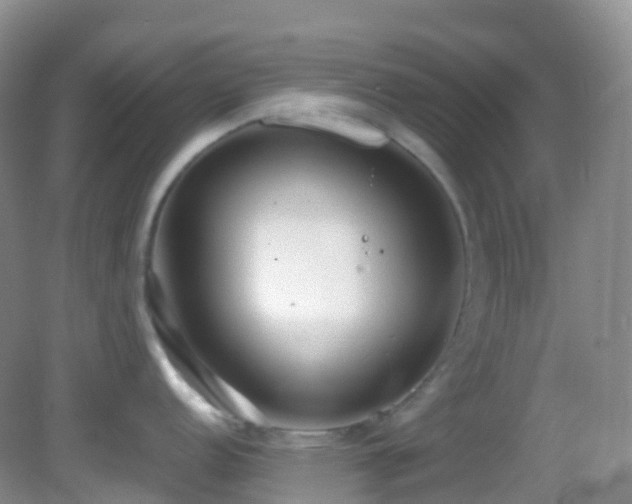 X0000083001152200702011448