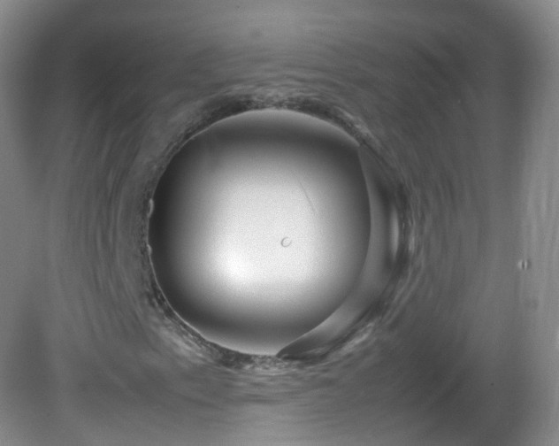 X0000083001153200702011447
