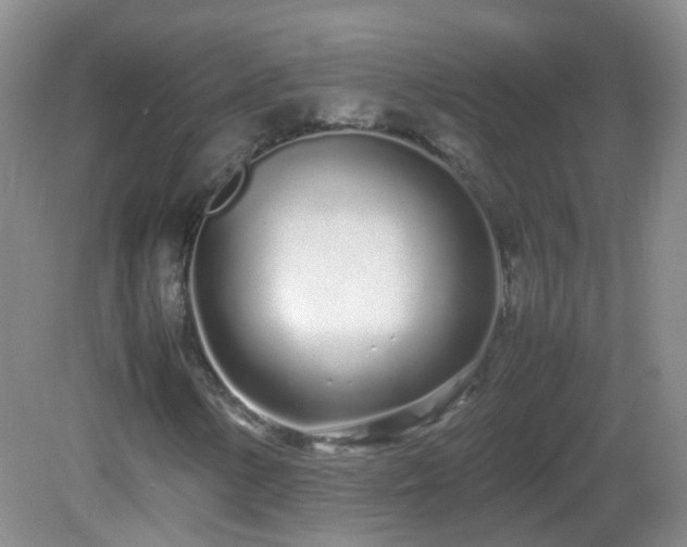 X0000083001154200702011447