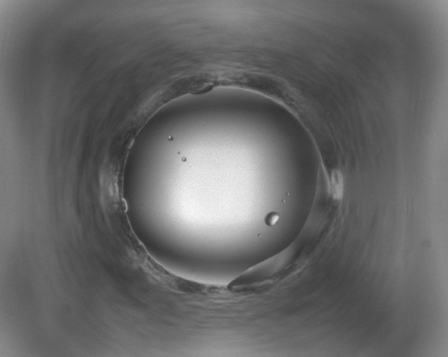 X0000083001155200702011447