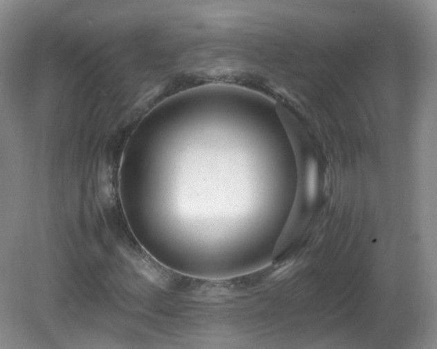 X0000083001156200702011447