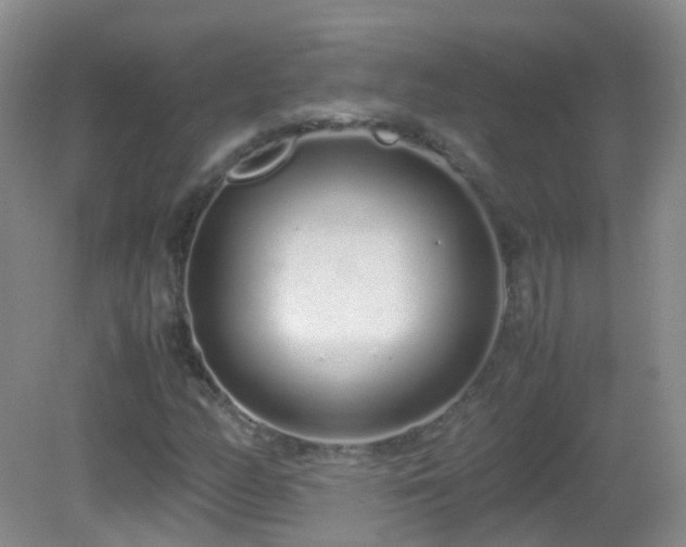 X0000083001158200702011447
