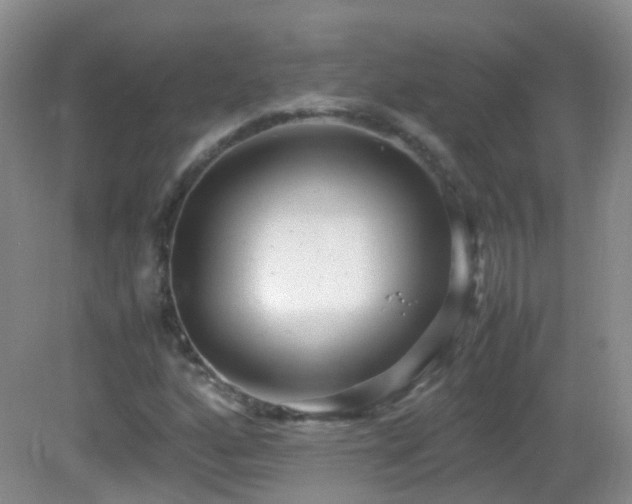 X0000083001160200702011447