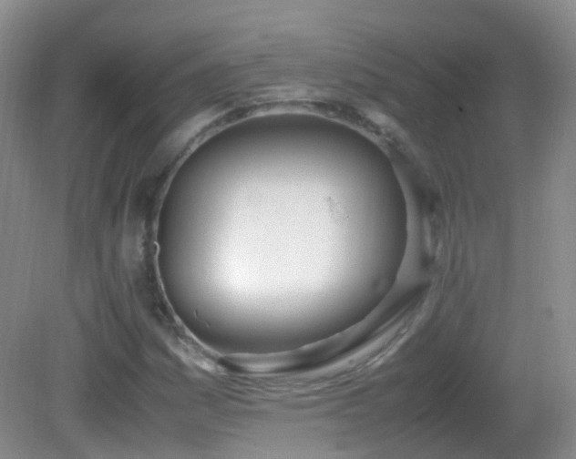 X0000083001161200702011447