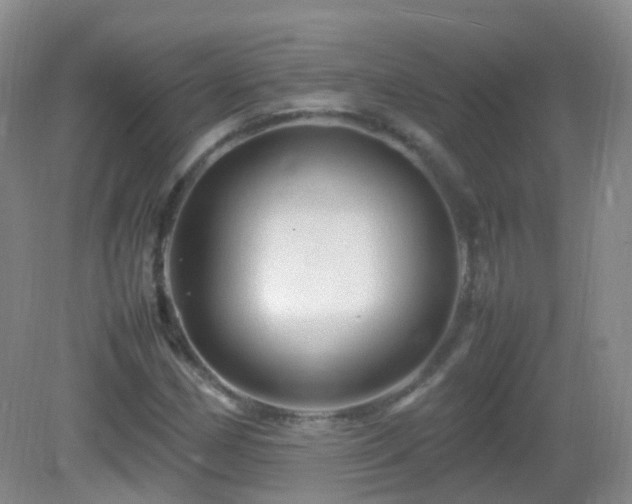 X0000083001162200702011447