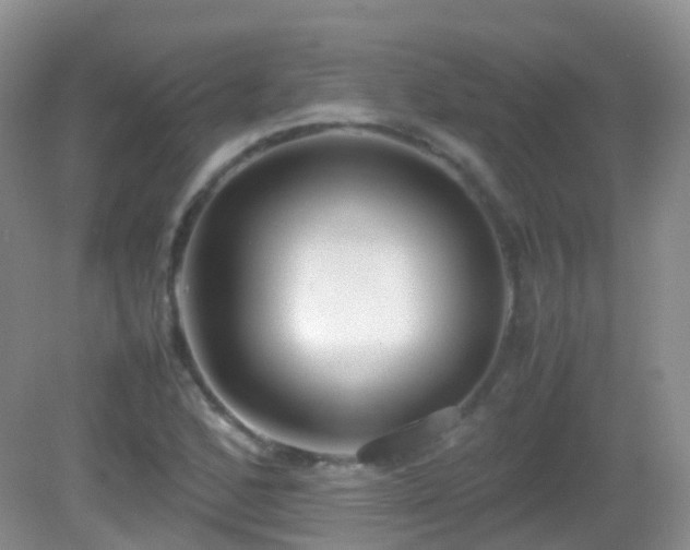 X0000083001168200702011447