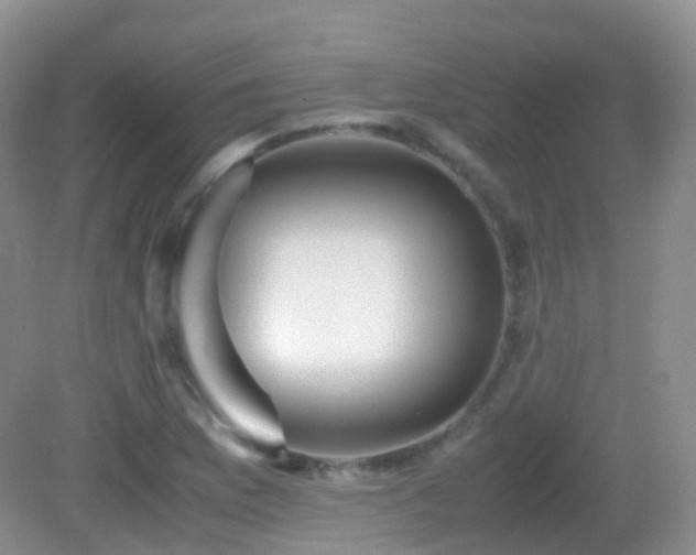 X0000083001169200702011447