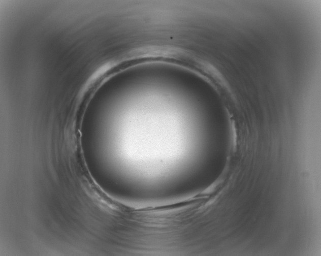 X0000083001172200702011447