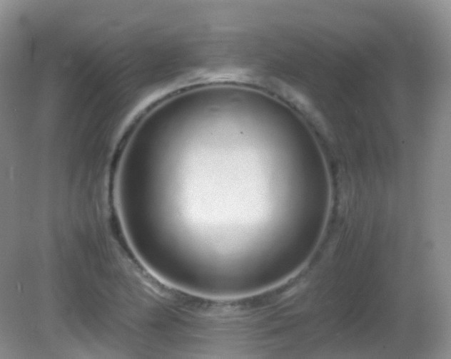 X0000083001174200702011447