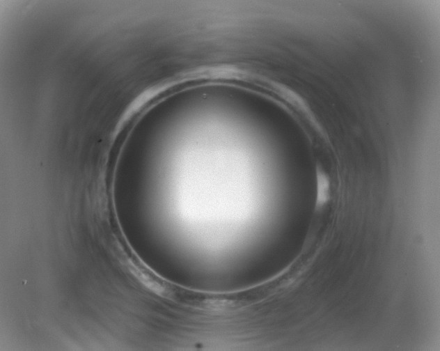 X0000083001176200702011447