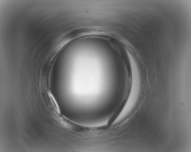 X0000083001177200702011447