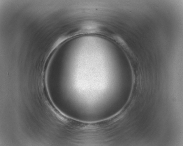 X0000083001178200702011447