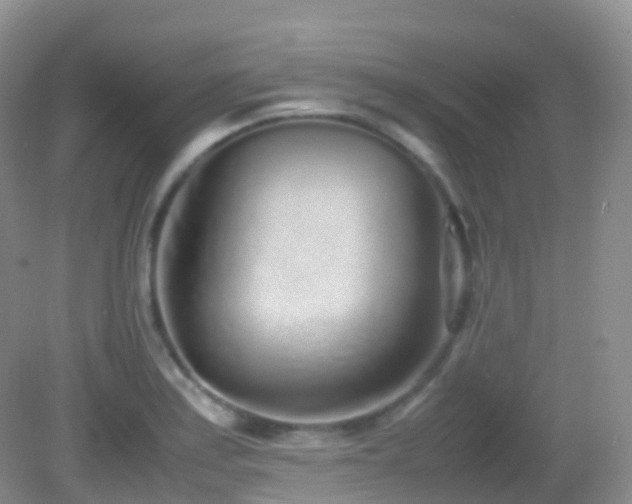 X0000083001179200702011447