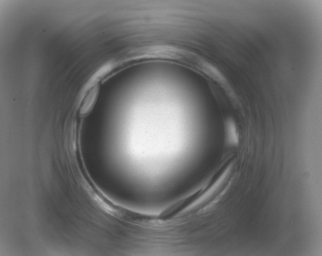 X0000083001180200702011447