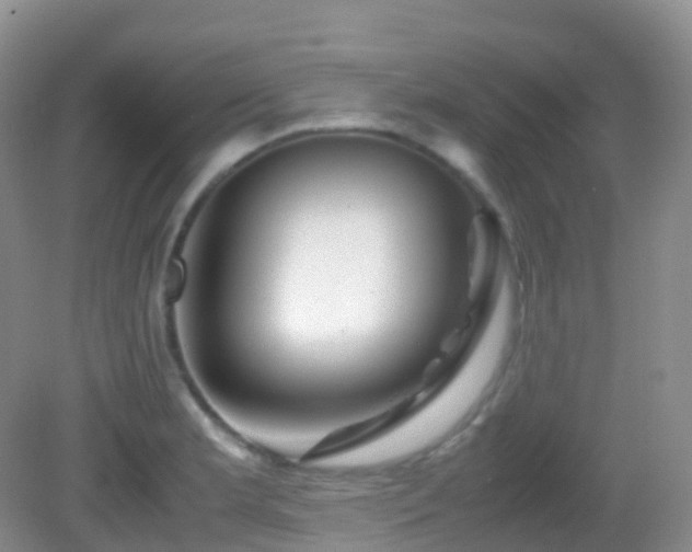 X0000083001181200702011447