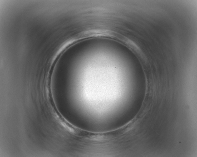 X0000083001182200702011447