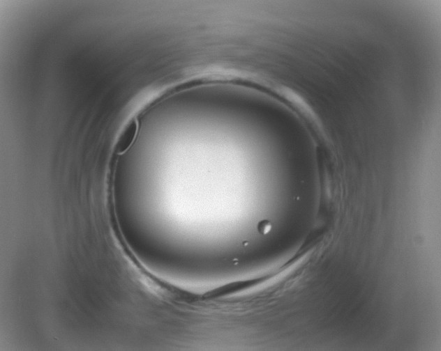 X0000083001183200702011447