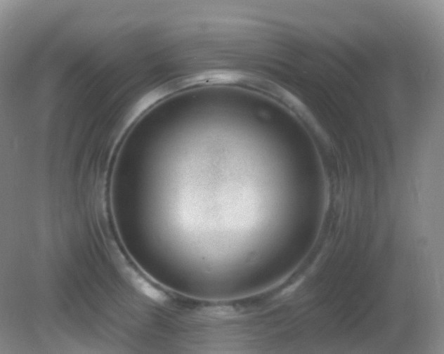 X0000083001186200702011447