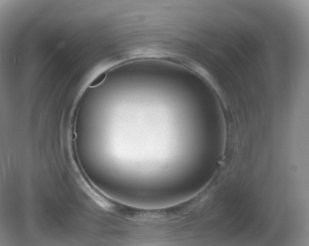 X0000083001187200702011447