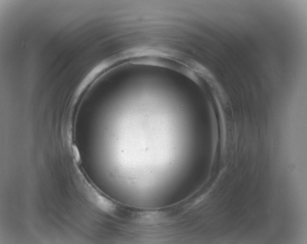 X0000083001188200702011447