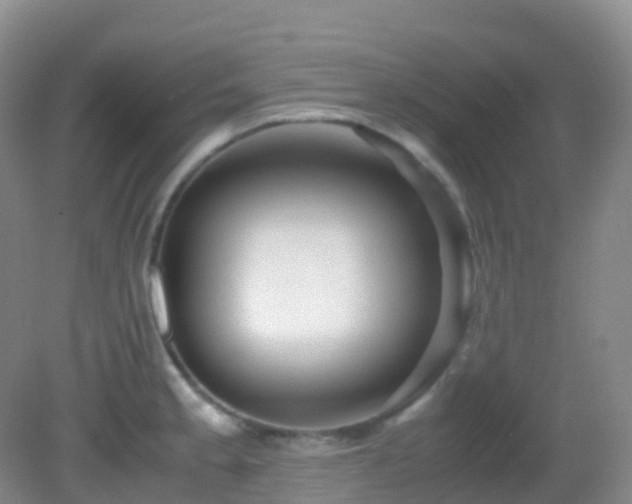 X0000083001189200702011447