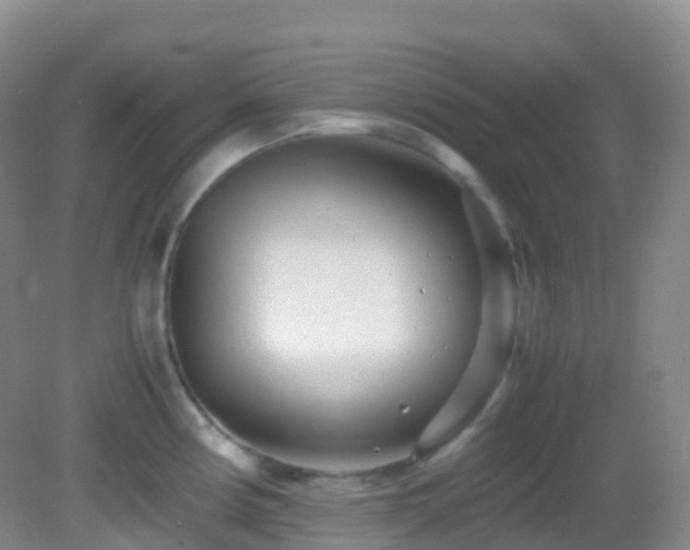 X0000083001194200702011447