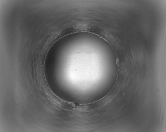 X0000083001201200702011446