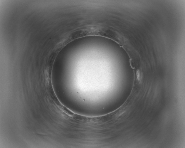 X0000083001203200702011446