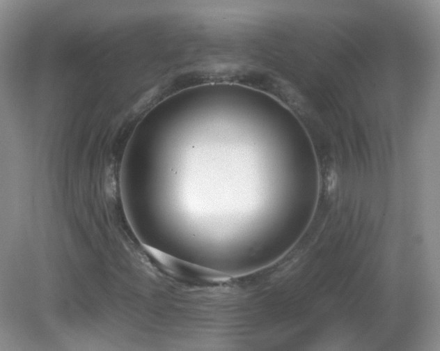 X0000083001204200702011446
