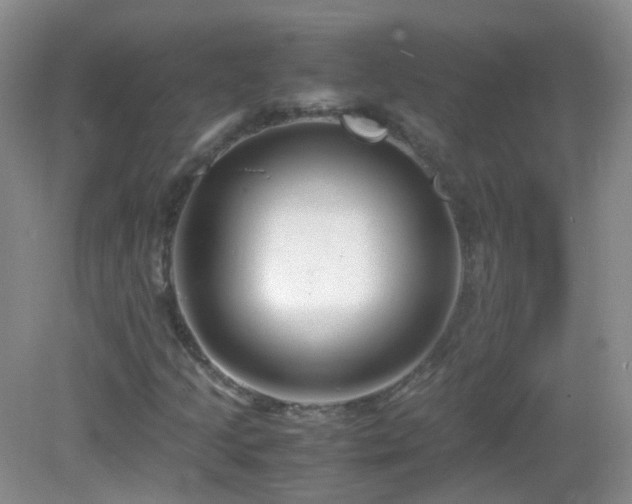 X0000083001205200702011446